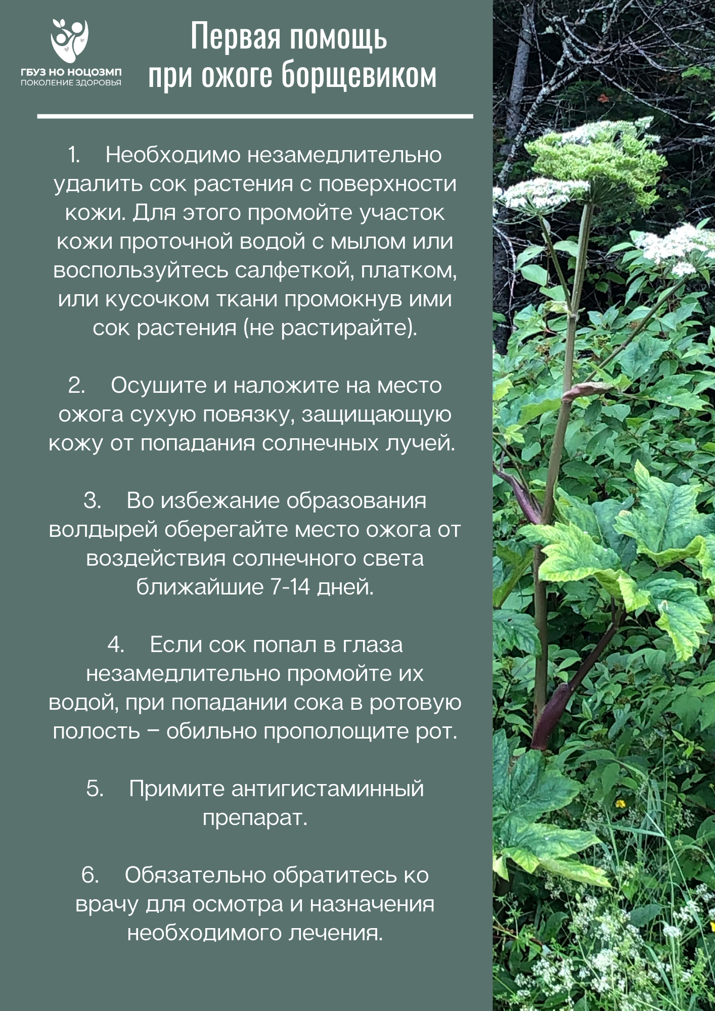 новость